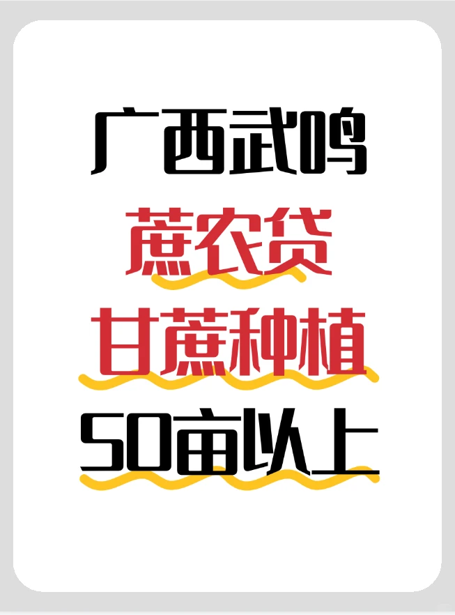 广西南宁武鸣甘蔗种植户