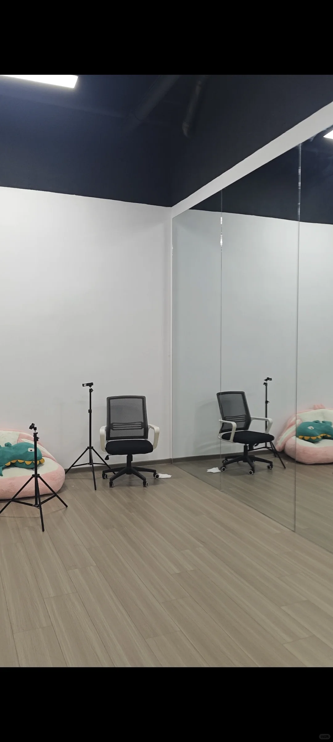 ?这家公司对主播也太舍得了吧！