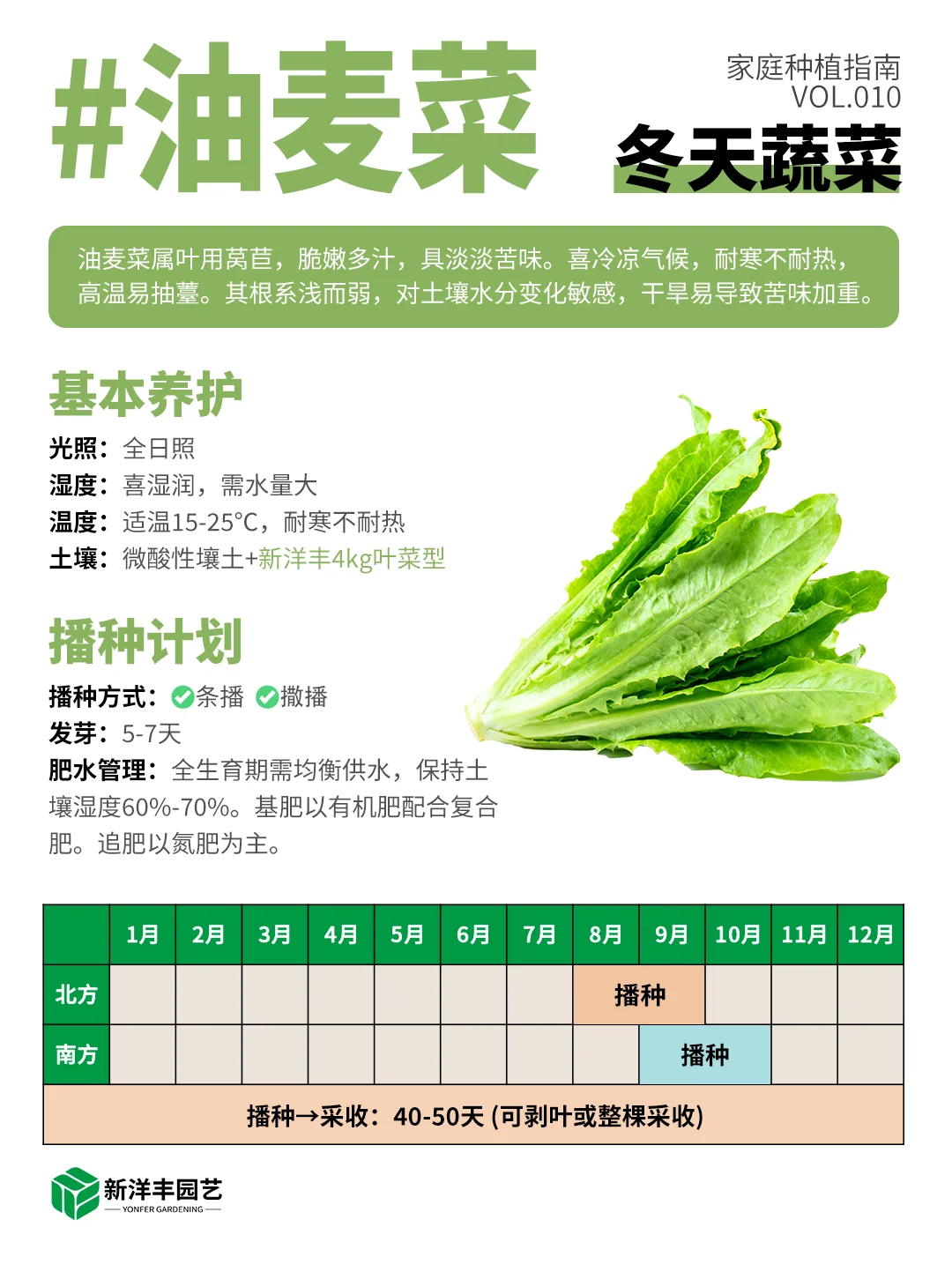 冬天种什么蔬菜？都给你整理好了