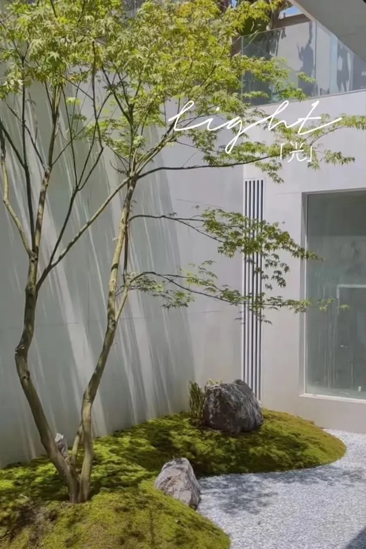 杂木庭院苗木选型纪要 | 柔美 飘逸 清雅