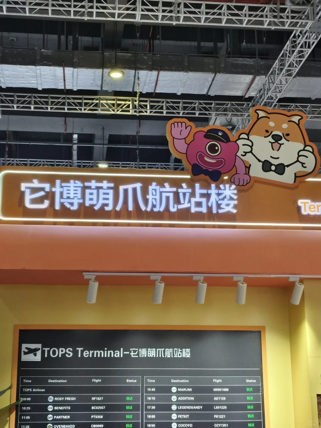 进博会挖宝?⬛萌爪航站楼萌到我走不动道