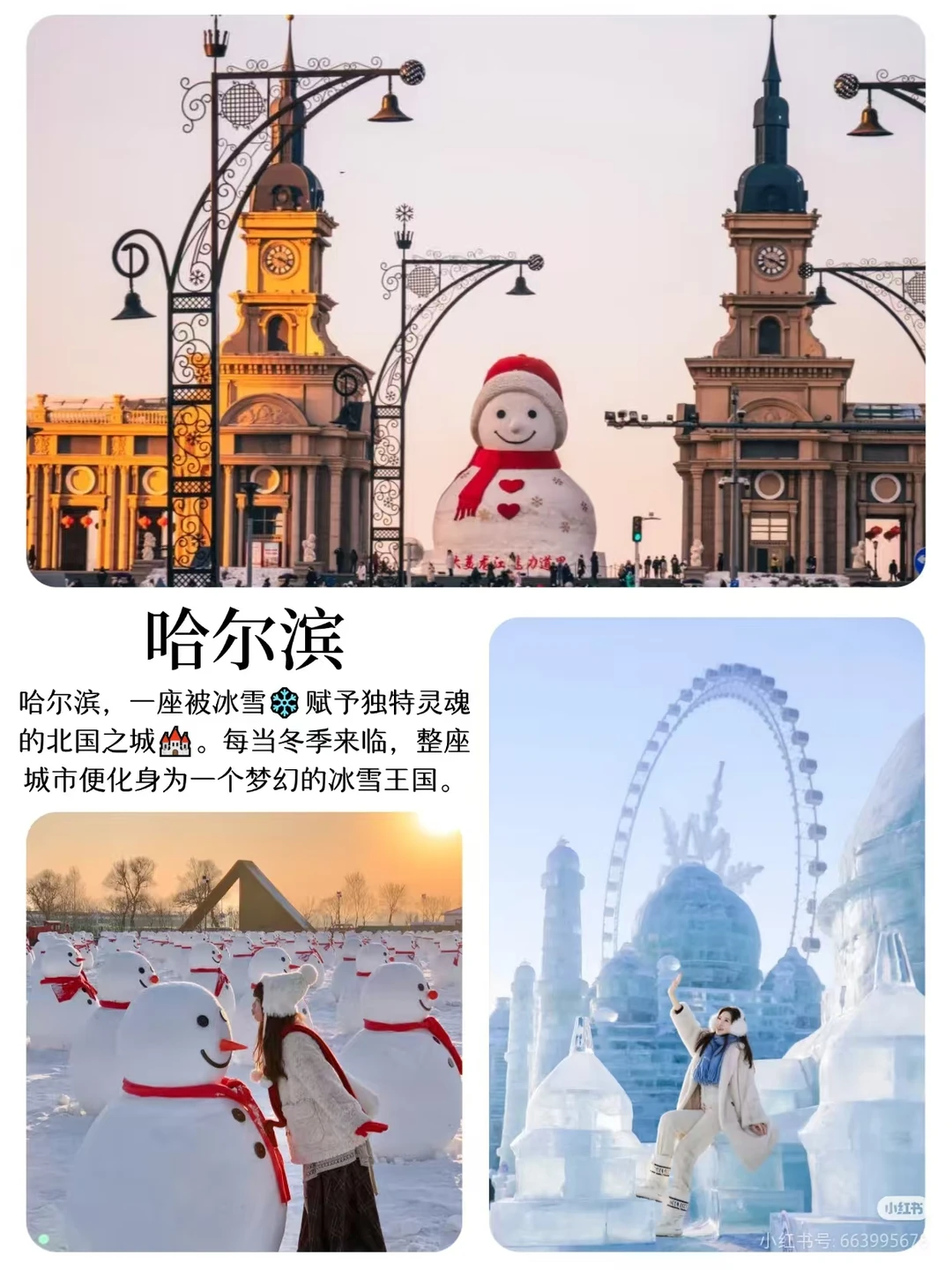 想北包车旅行哈尔滨分社负责人