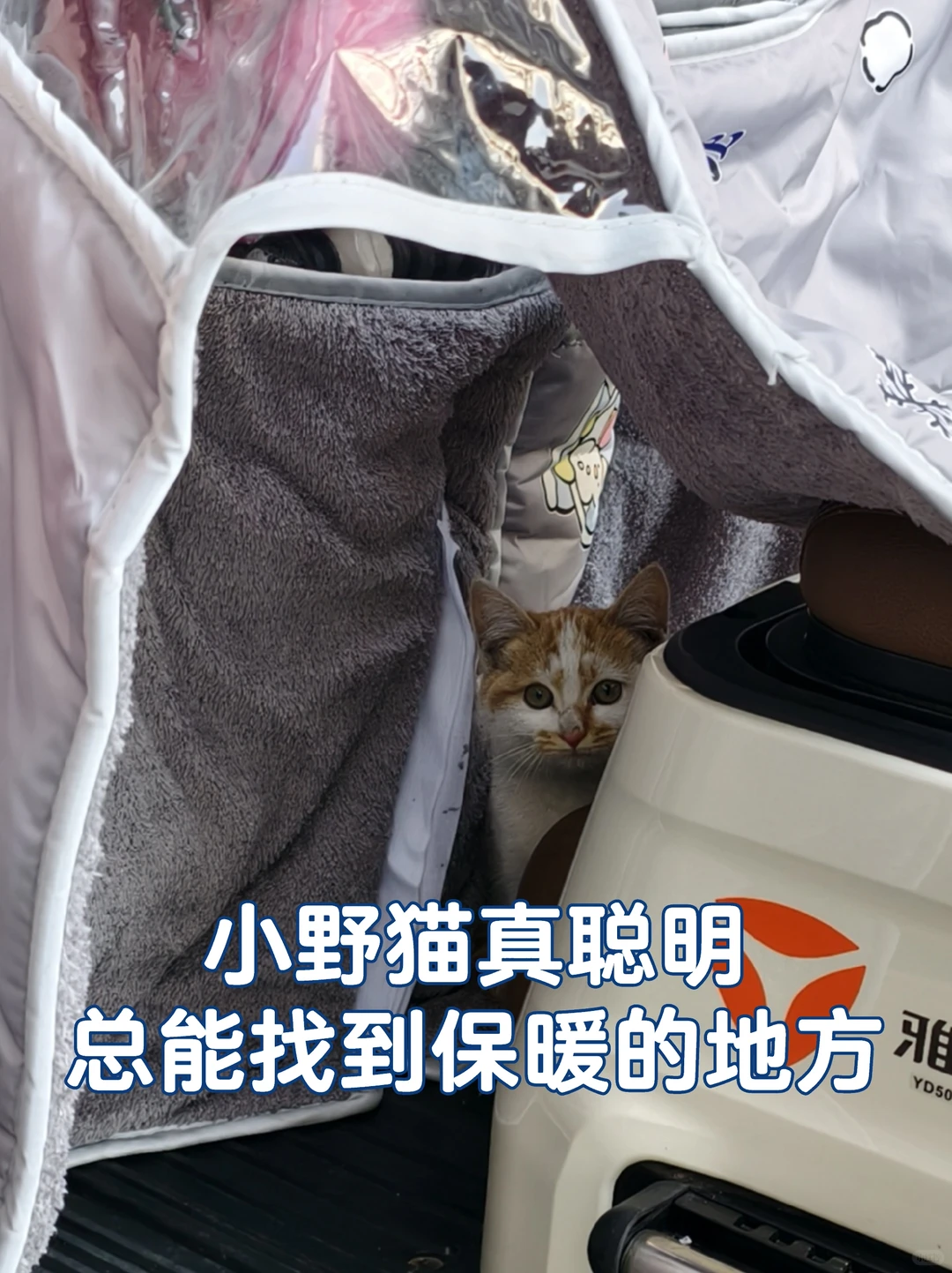 国企宣传｜新闻稿｜A公司冬季设备管理