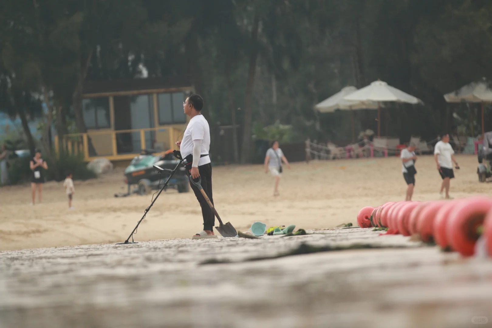 这是在沙滩探测啥呢?