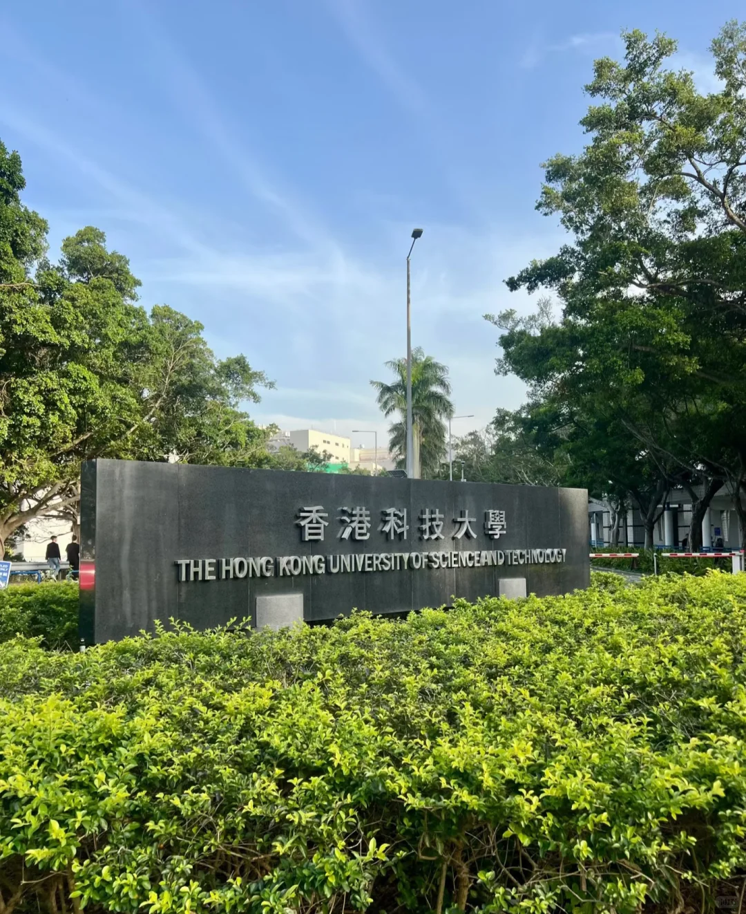 港科技每天只睡3小时,决定休学了