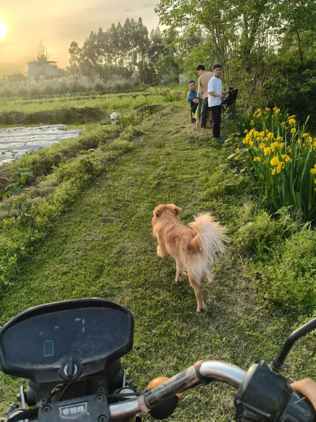 回村种菜=没出息？我不服！