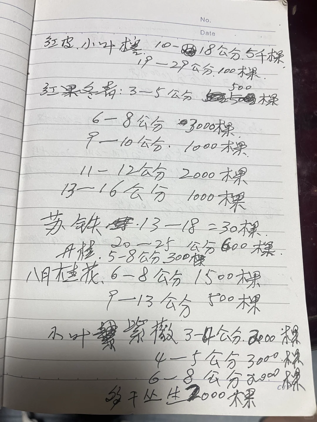 江西赣州苗圃清地，处理价格，给钱就卖