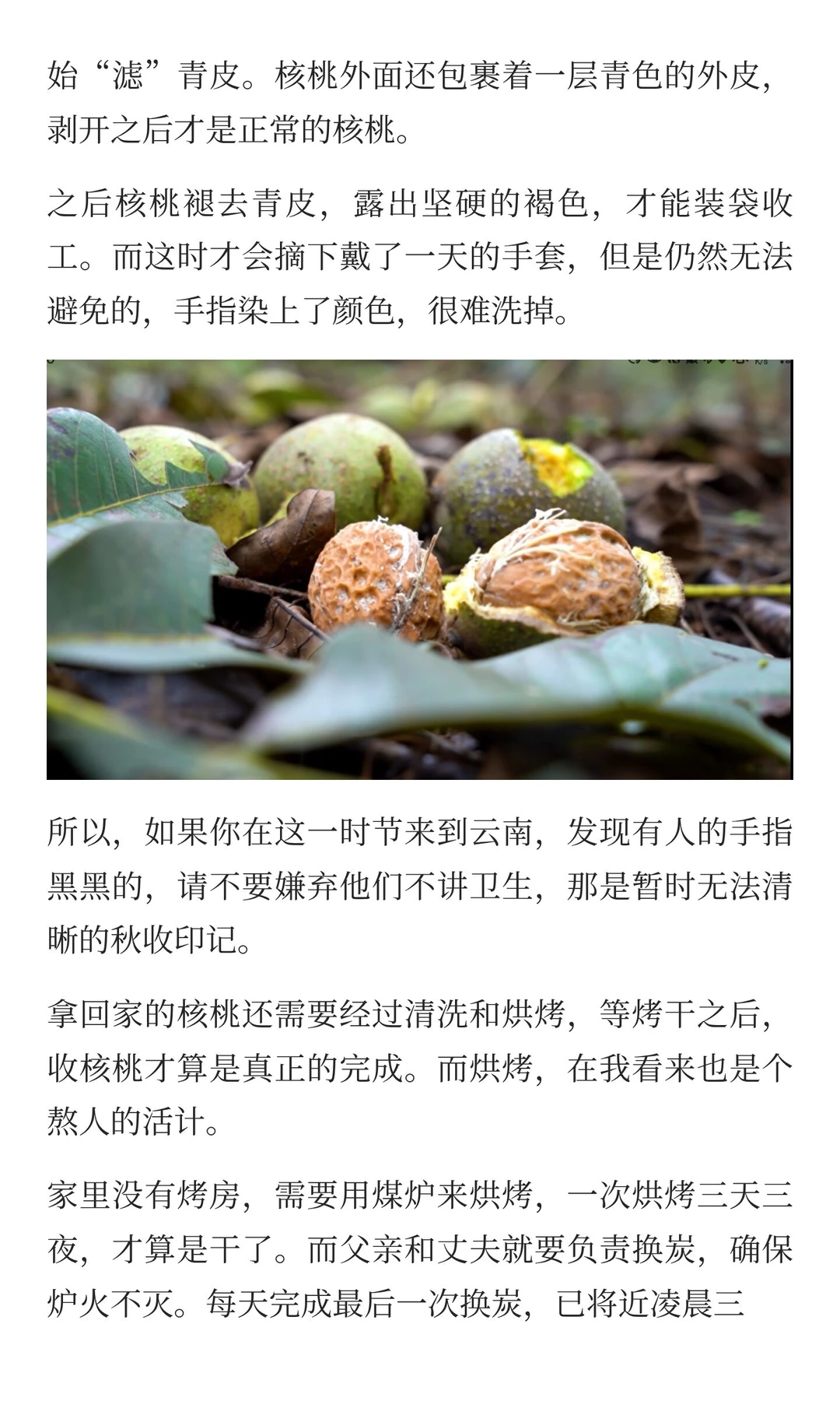 15天，打碎我对田园生活的所有幻想