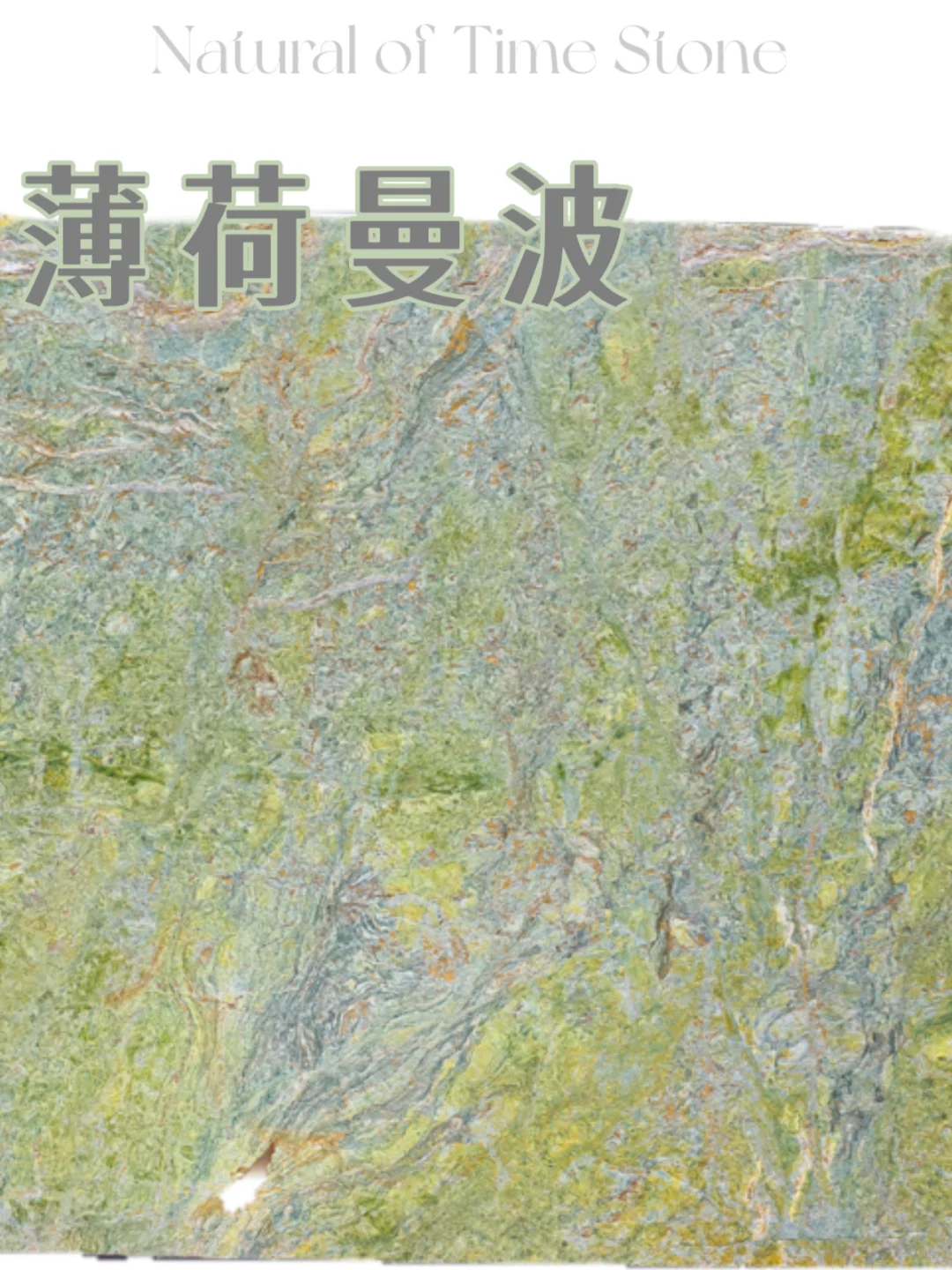 属于春意盎然的绿色｜?薄荷曼波的生机活力