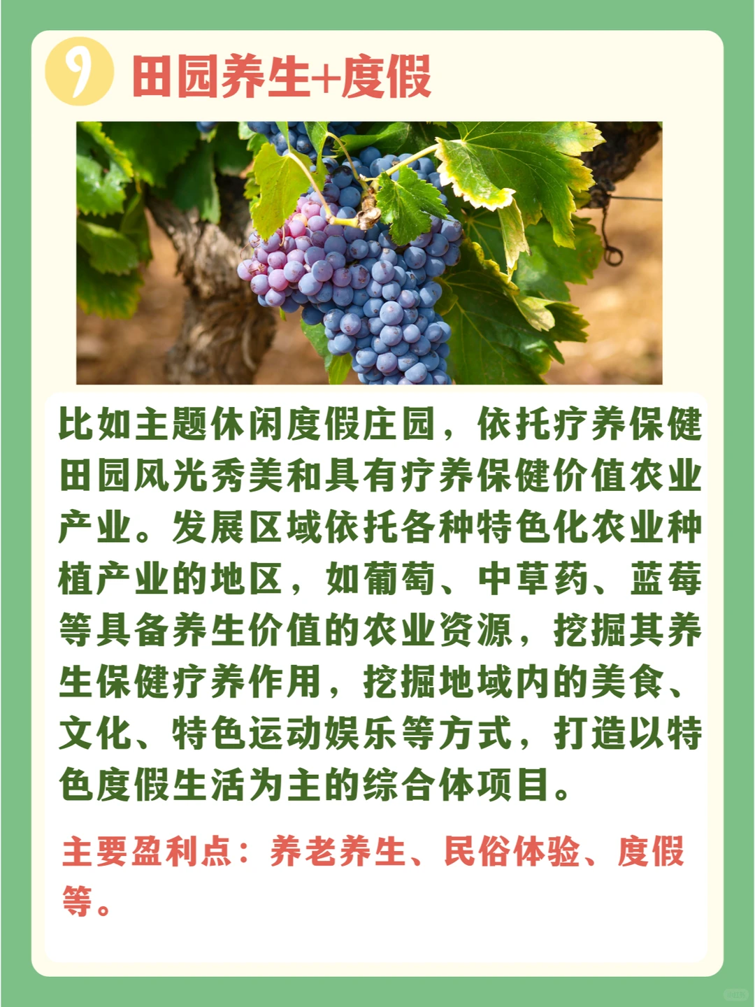 1+1>2,农业与旅游的十种混搭