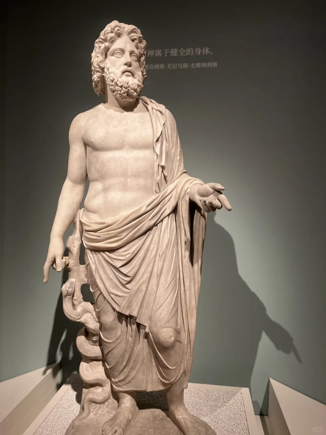 一场寻美的生日