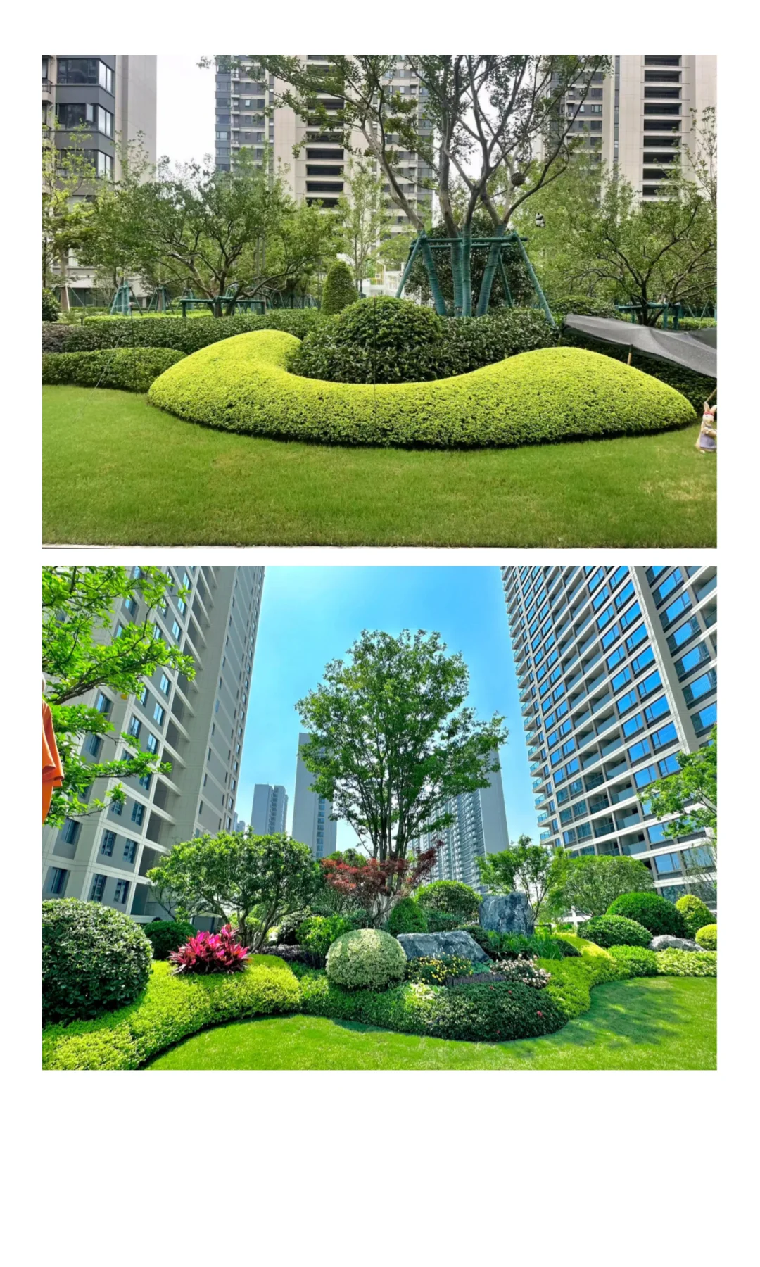 出售各种苗木，承接各种绿化工程，价格优惠