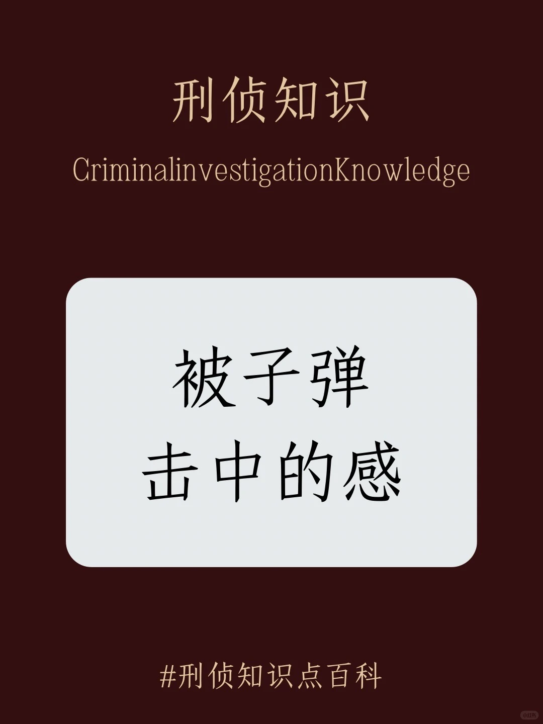 今日份冷知识：被子弹击中的感觉