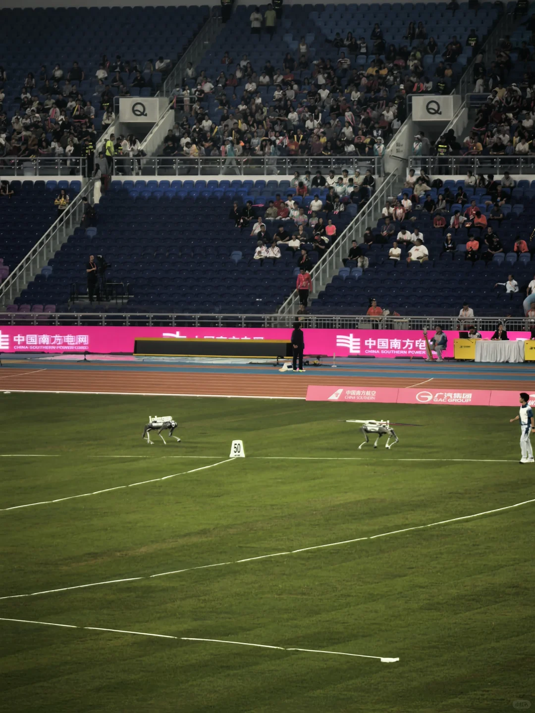 科技感！机器狗助力全运会！