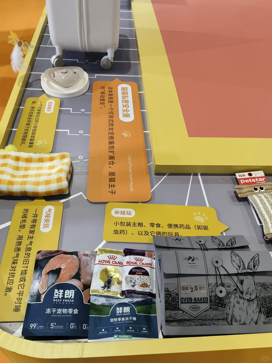 进博会挖宝?⬛萌爪航站楼萌到我走不动道