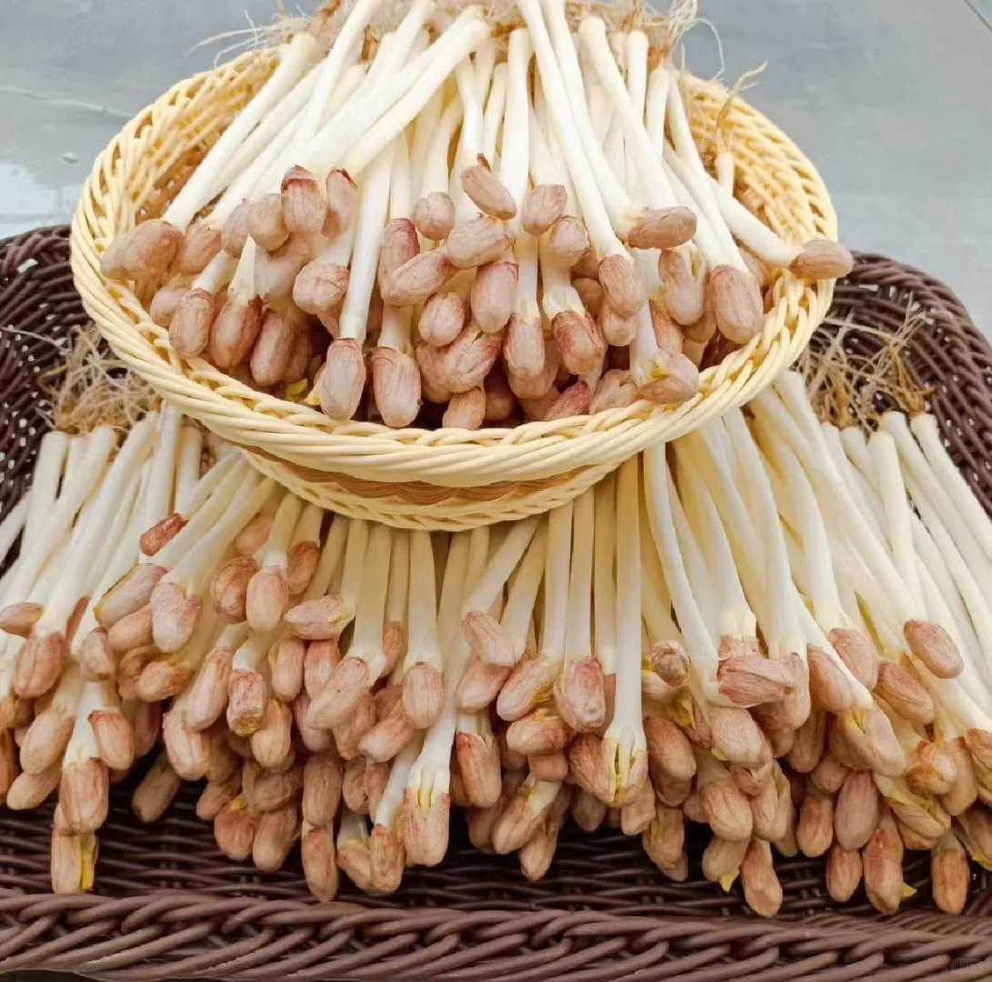 最高130元一斤7天就能卖!小众农业致富项目