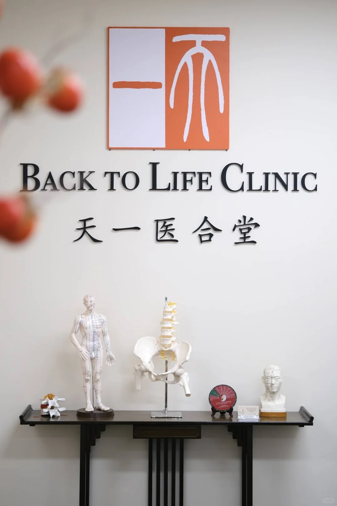 维州第三台neubie neufit神经肌肉激活设备