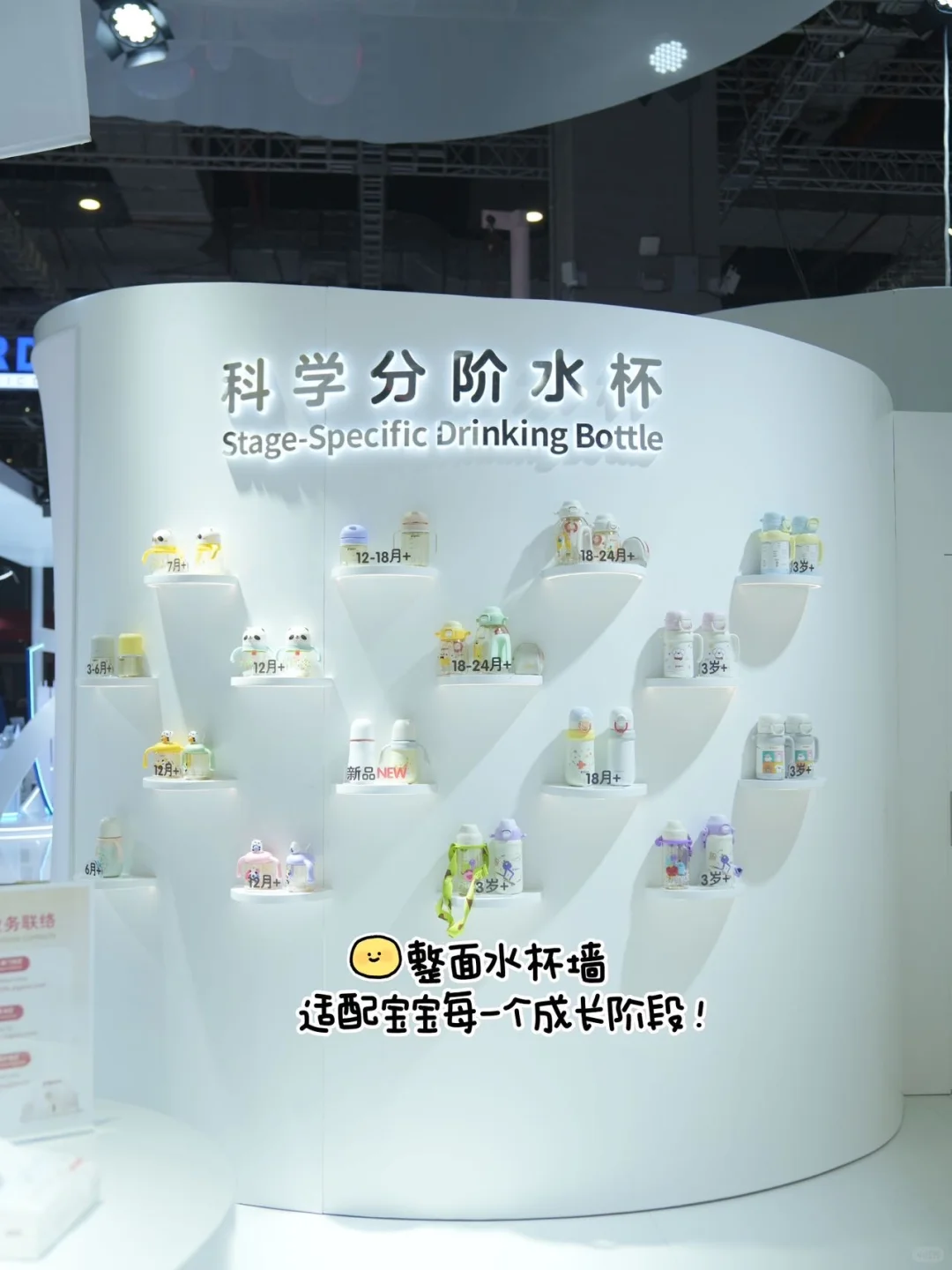 进博会偶遇宝宝的“心头好”