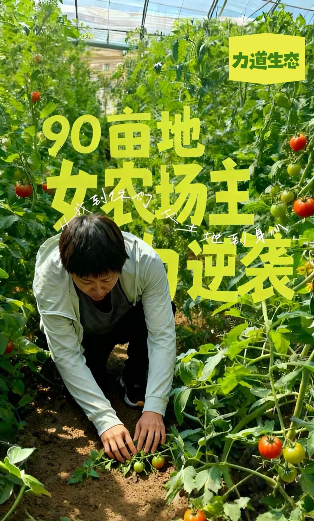 女生真的不能搞农场？她用90亩地打破偏见！