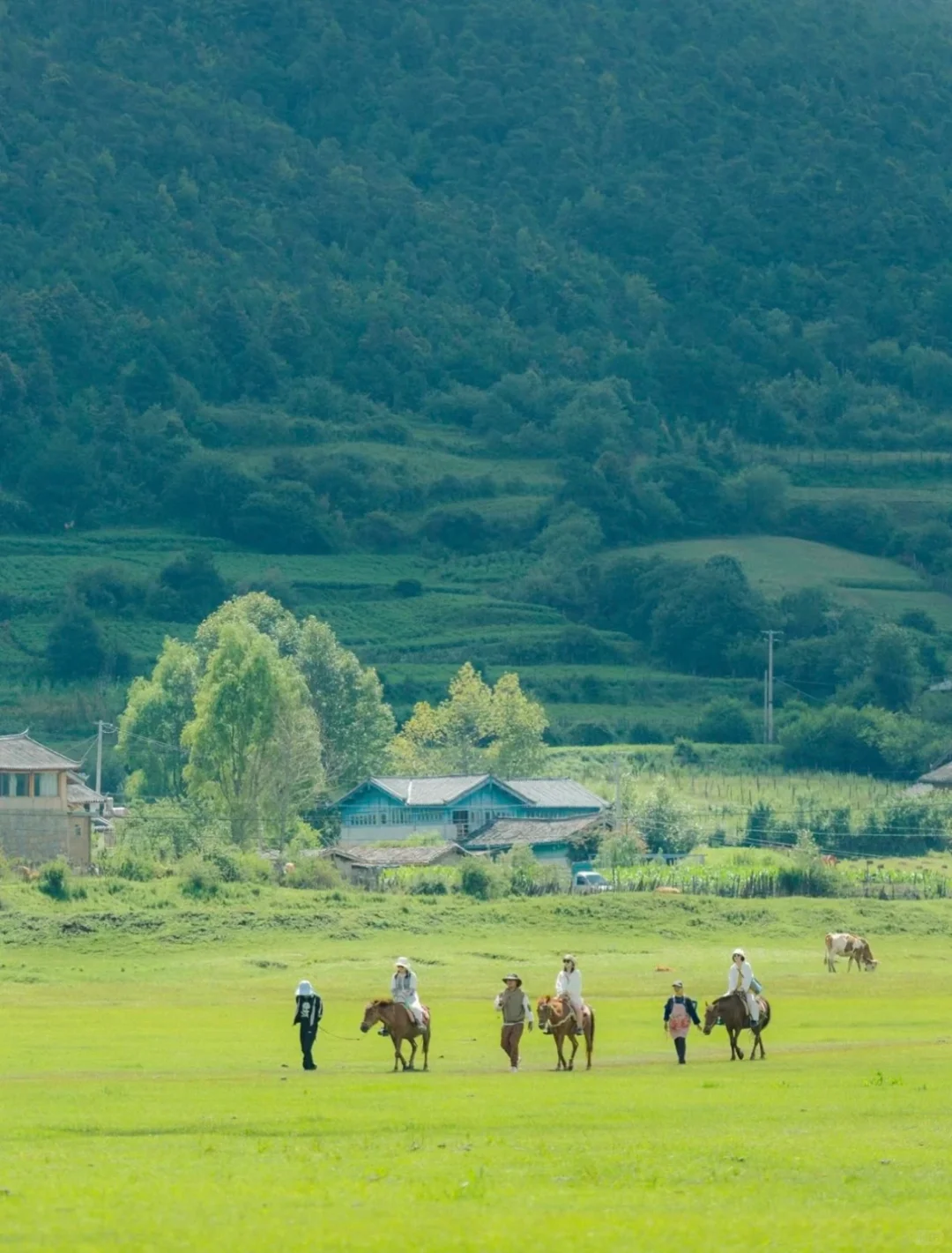 ♻️乡村文旅+“疗愈经济”助力乡村振兴