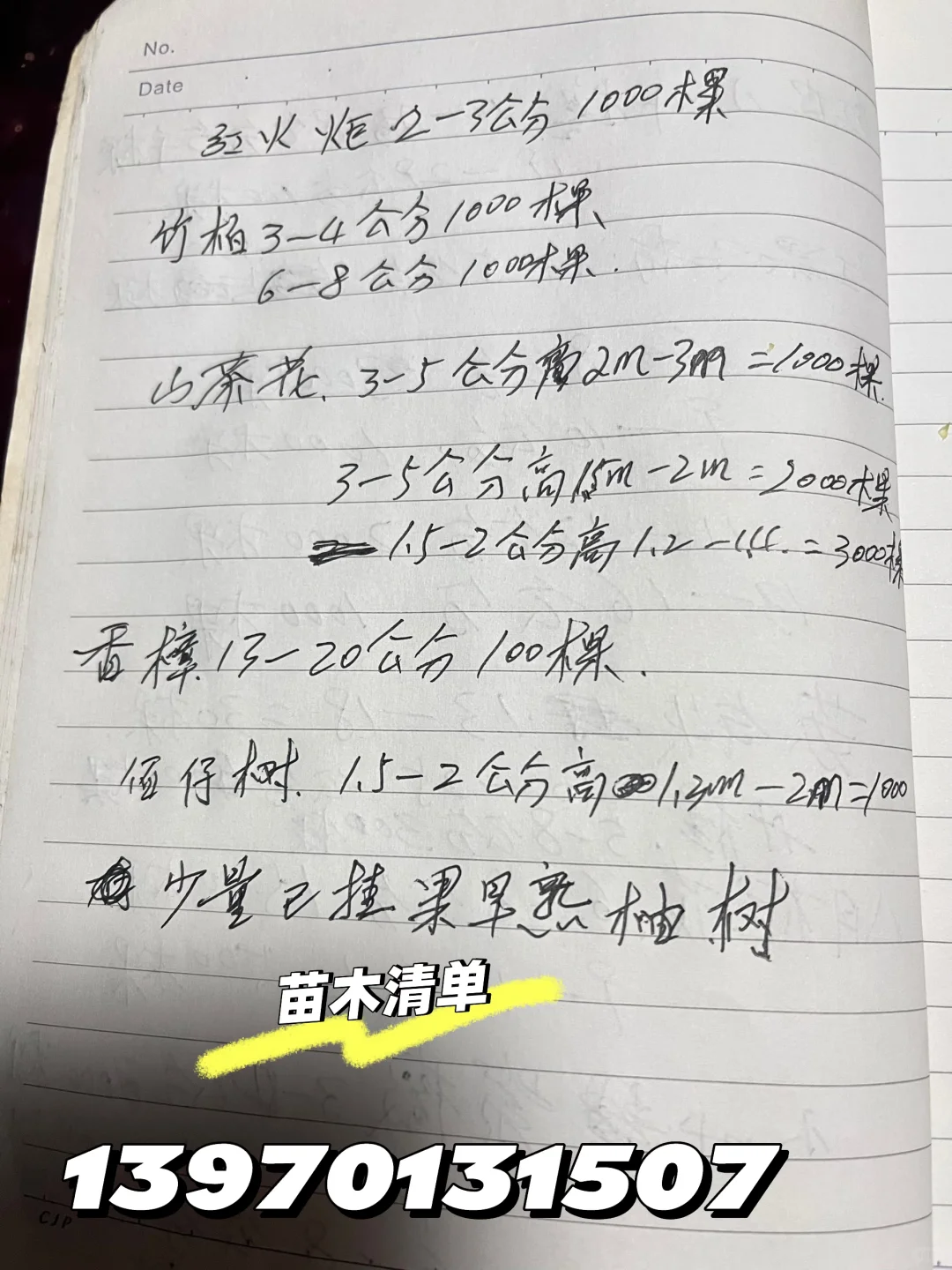 江西赣州苗圃清地，处理价格，给钱就卖