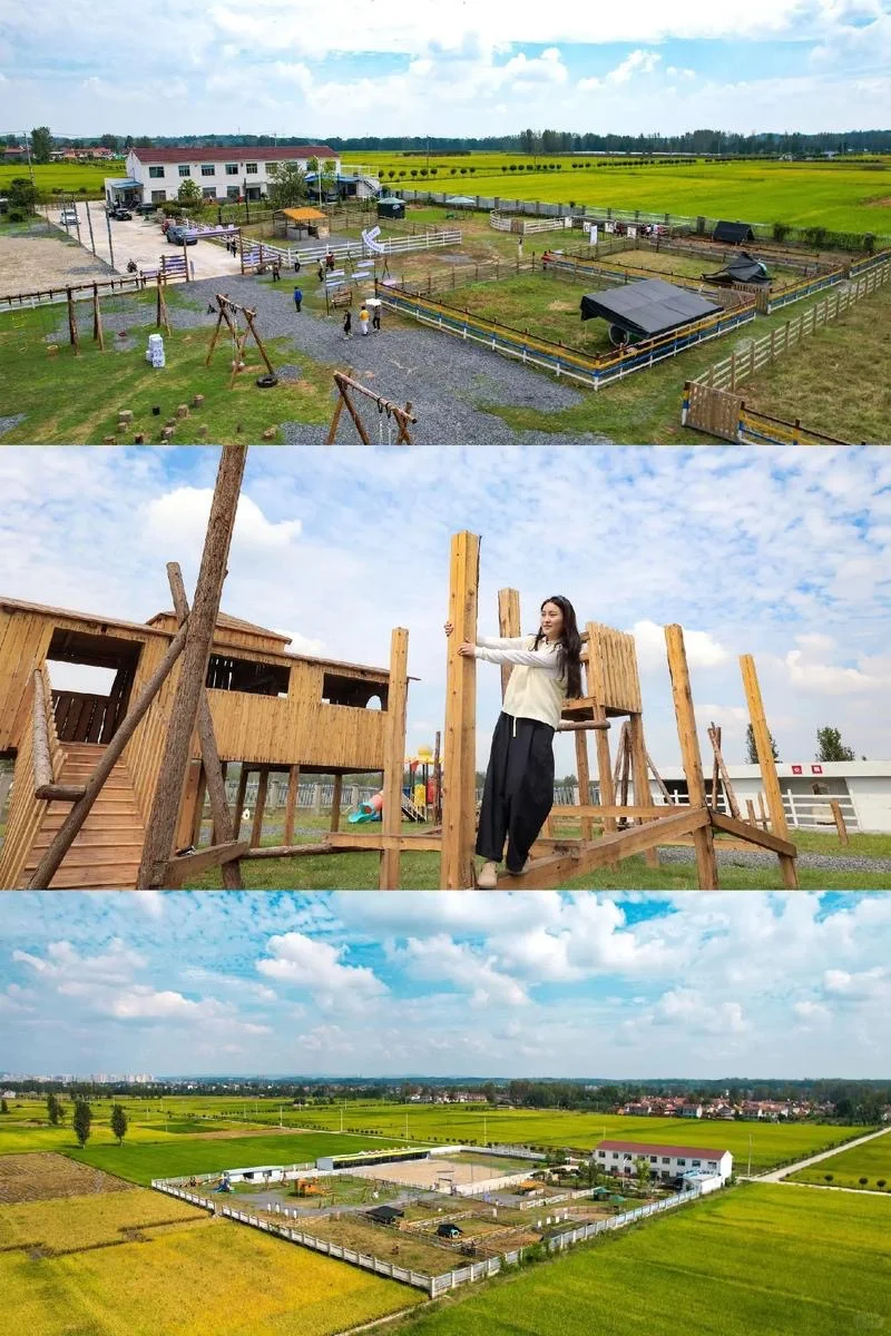  文旅策划，为乡村旅游“造血”