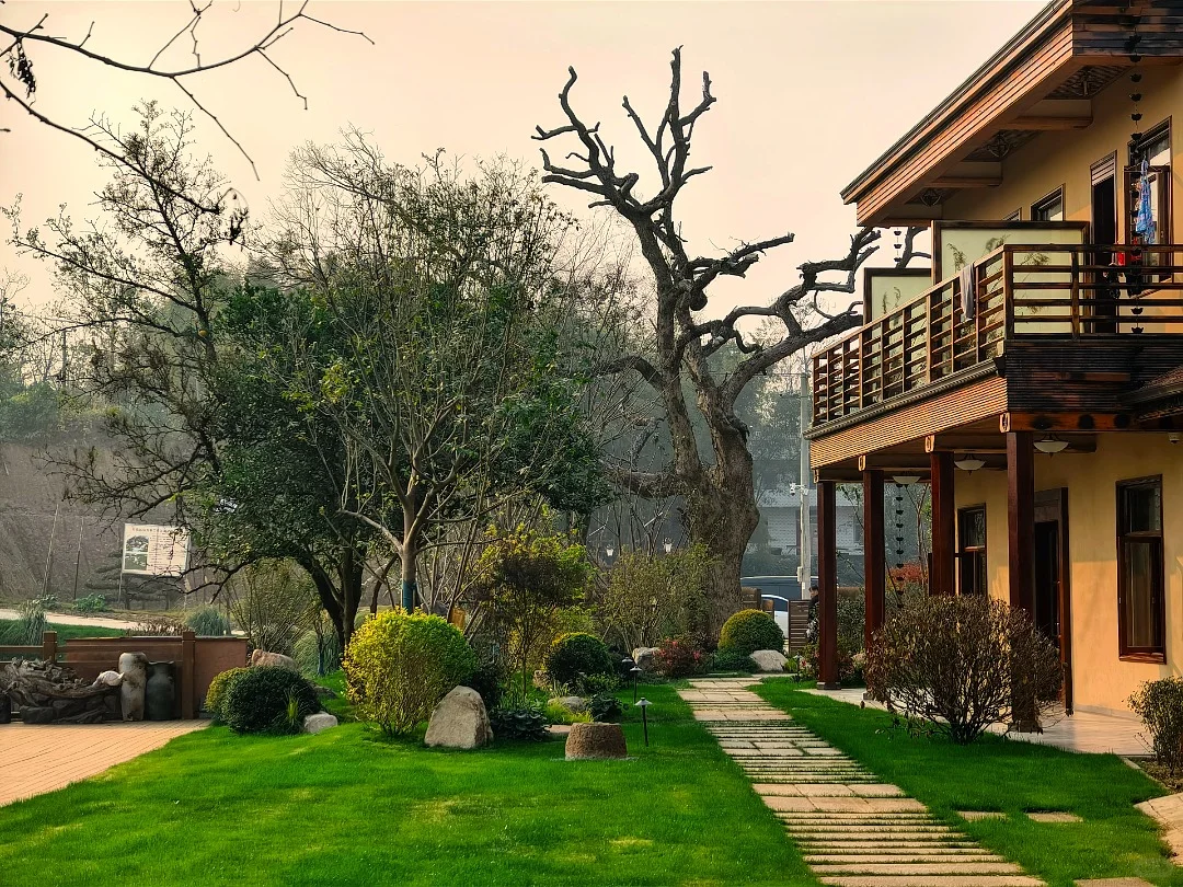 花掉够我躺平的钱在农村建民宿