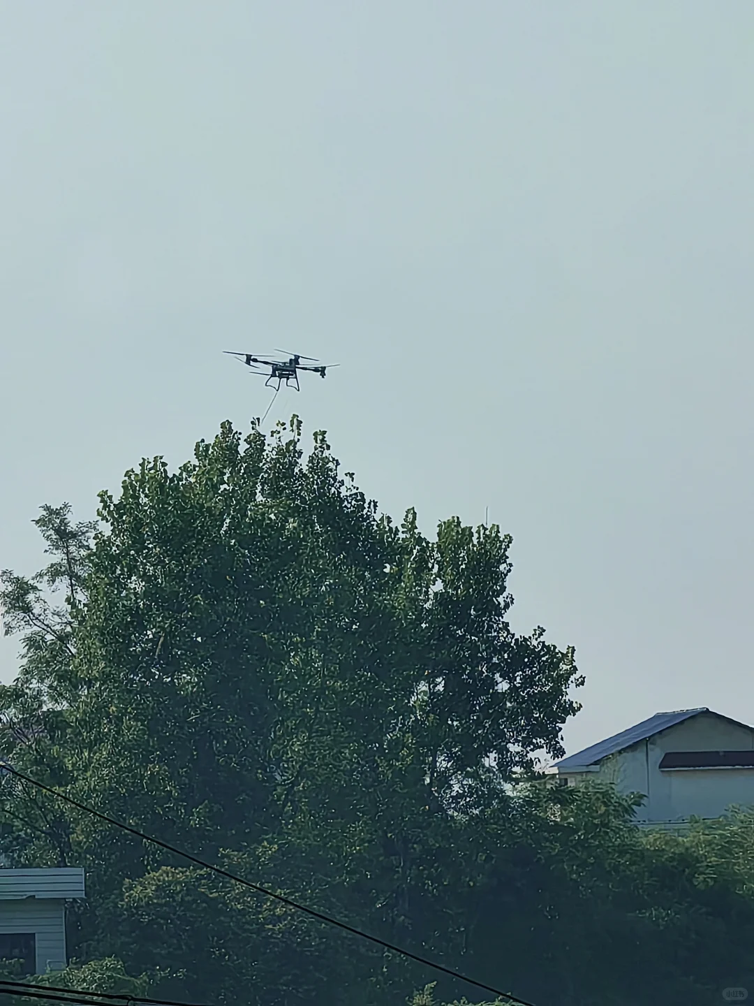 回老家竟然看到农用无人机????