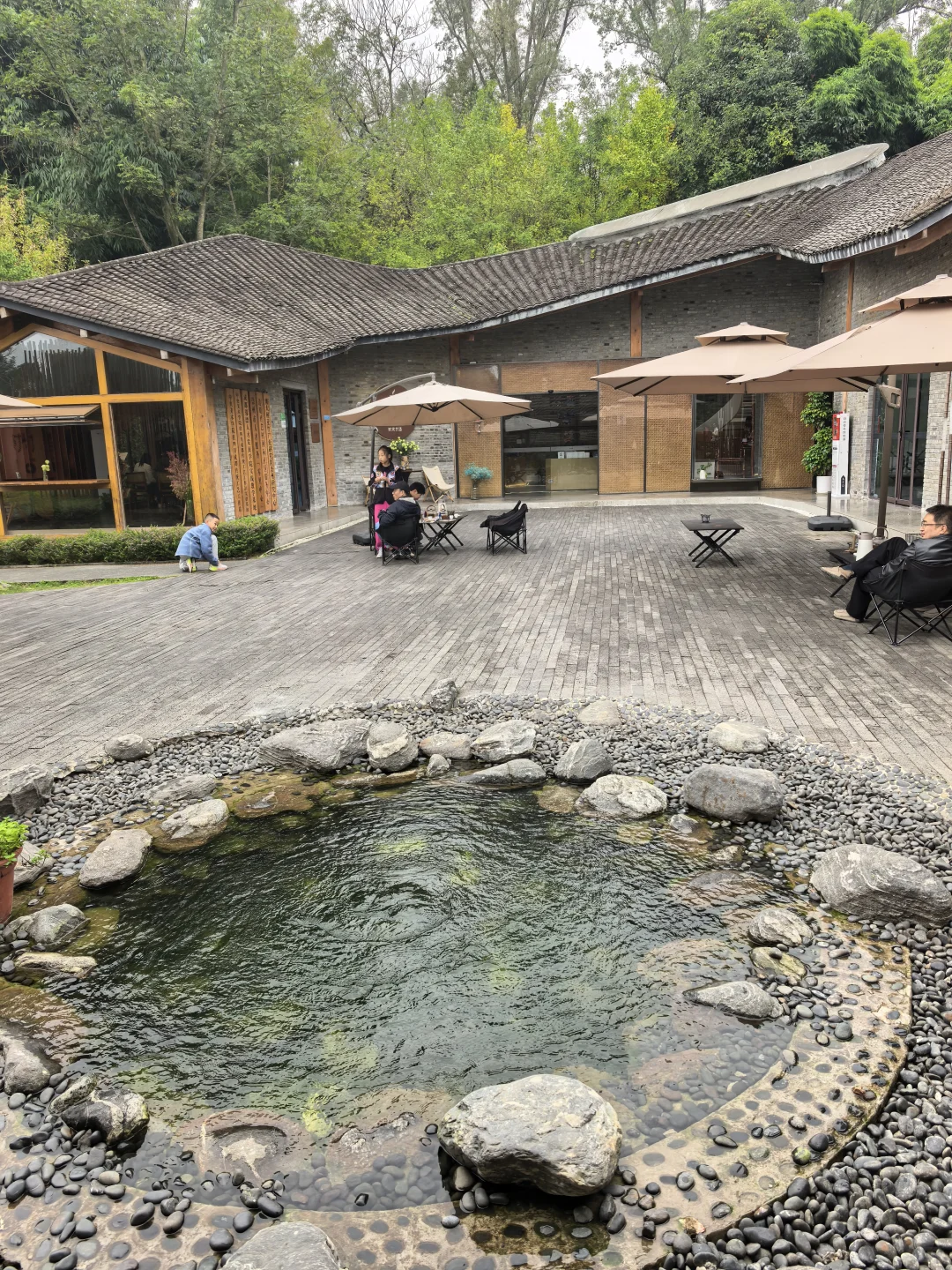 再次感受成都美丽乡村后有感