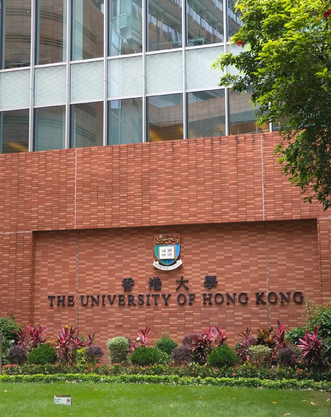 ??港大压力太大了，决定gap一年缓缓