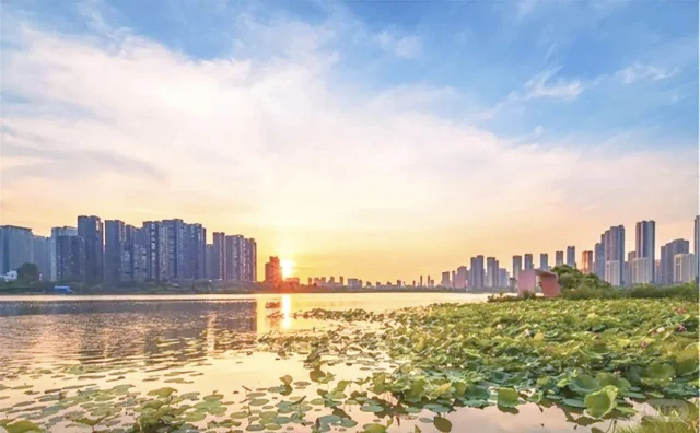 #武汉行政区划冷知识 #蔡甸汉阳同根同源 #