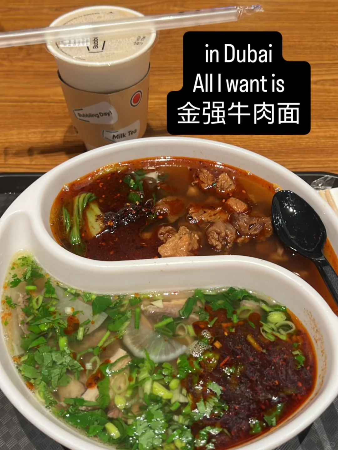 22小时转机迪拜极限1日游