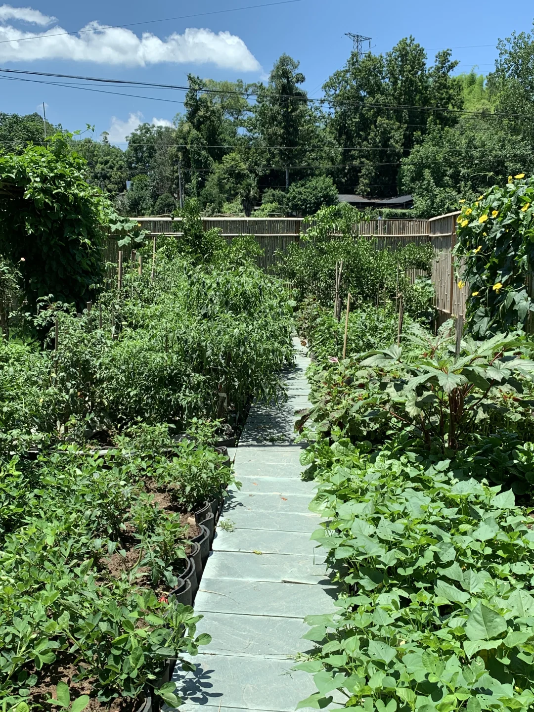 不懂流量,别在农村开民宿,否则只有血亏