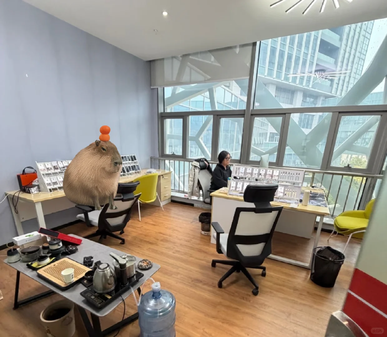 有人愿意来教务处工作吗？本科就行双休