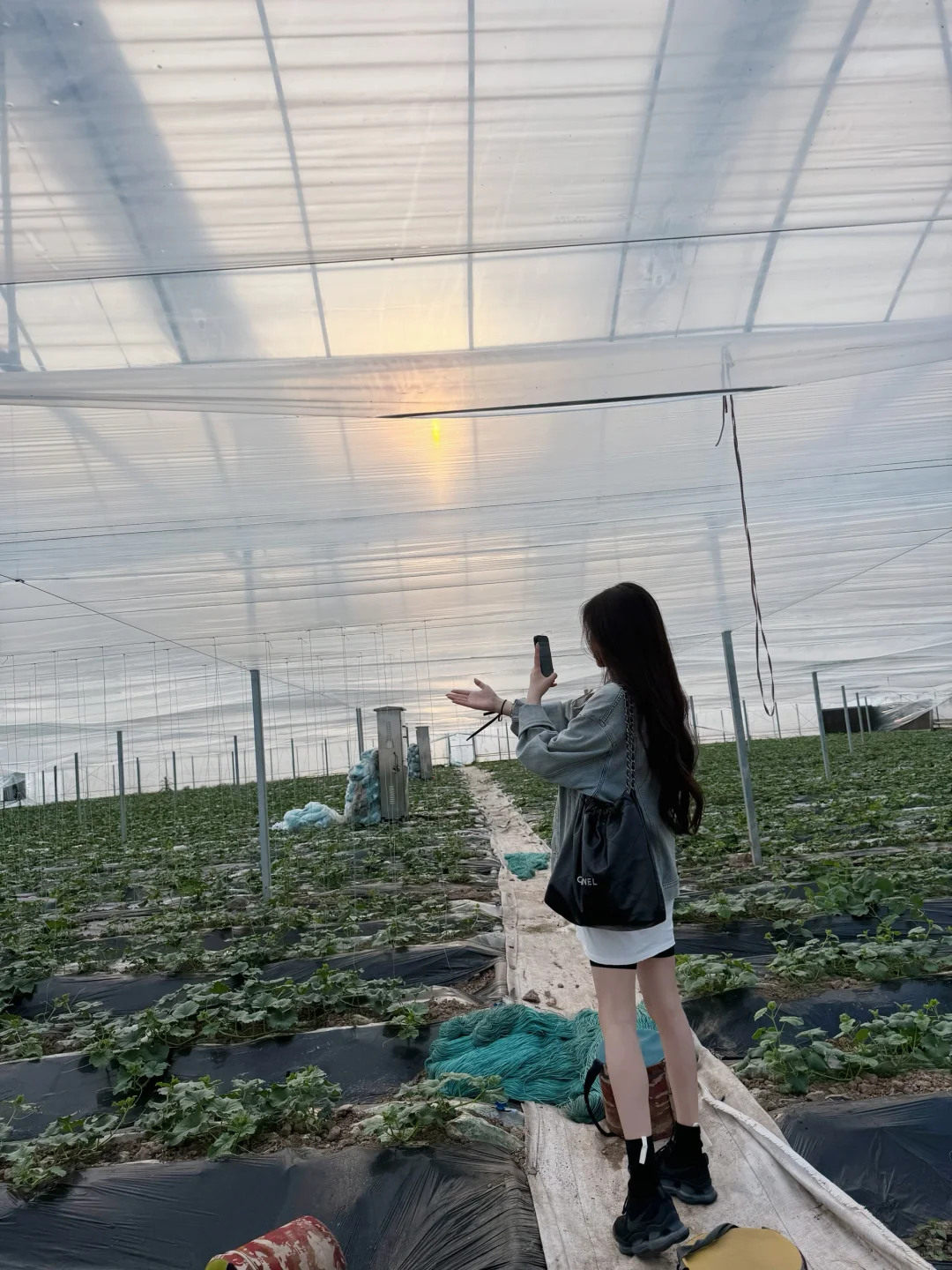 大家好 欢迎来到我家的大棚