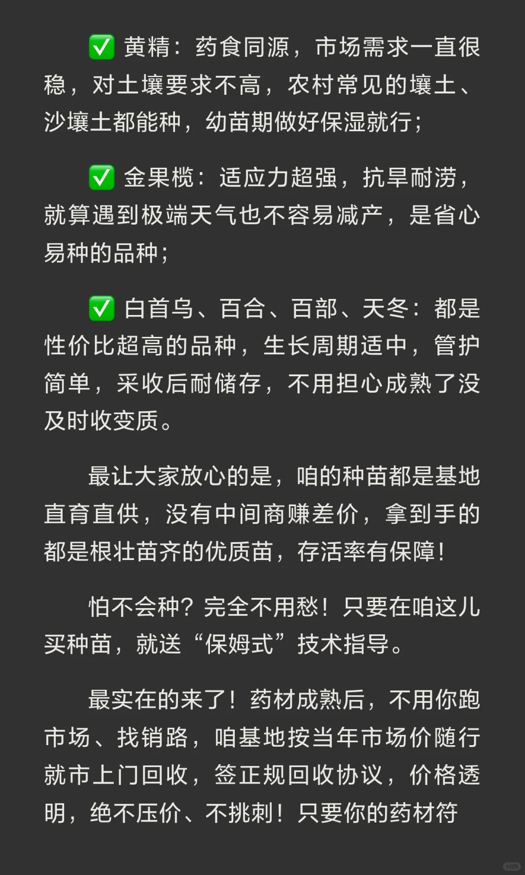 农村闲地别！中药材种植稳赚攻略，新手也能