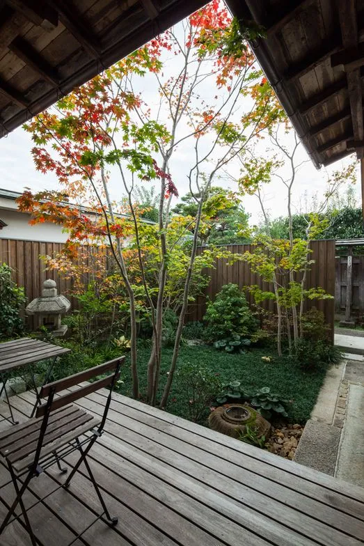 杂木庭院苗木选型纪要 | 柔美 飘逸 清雅