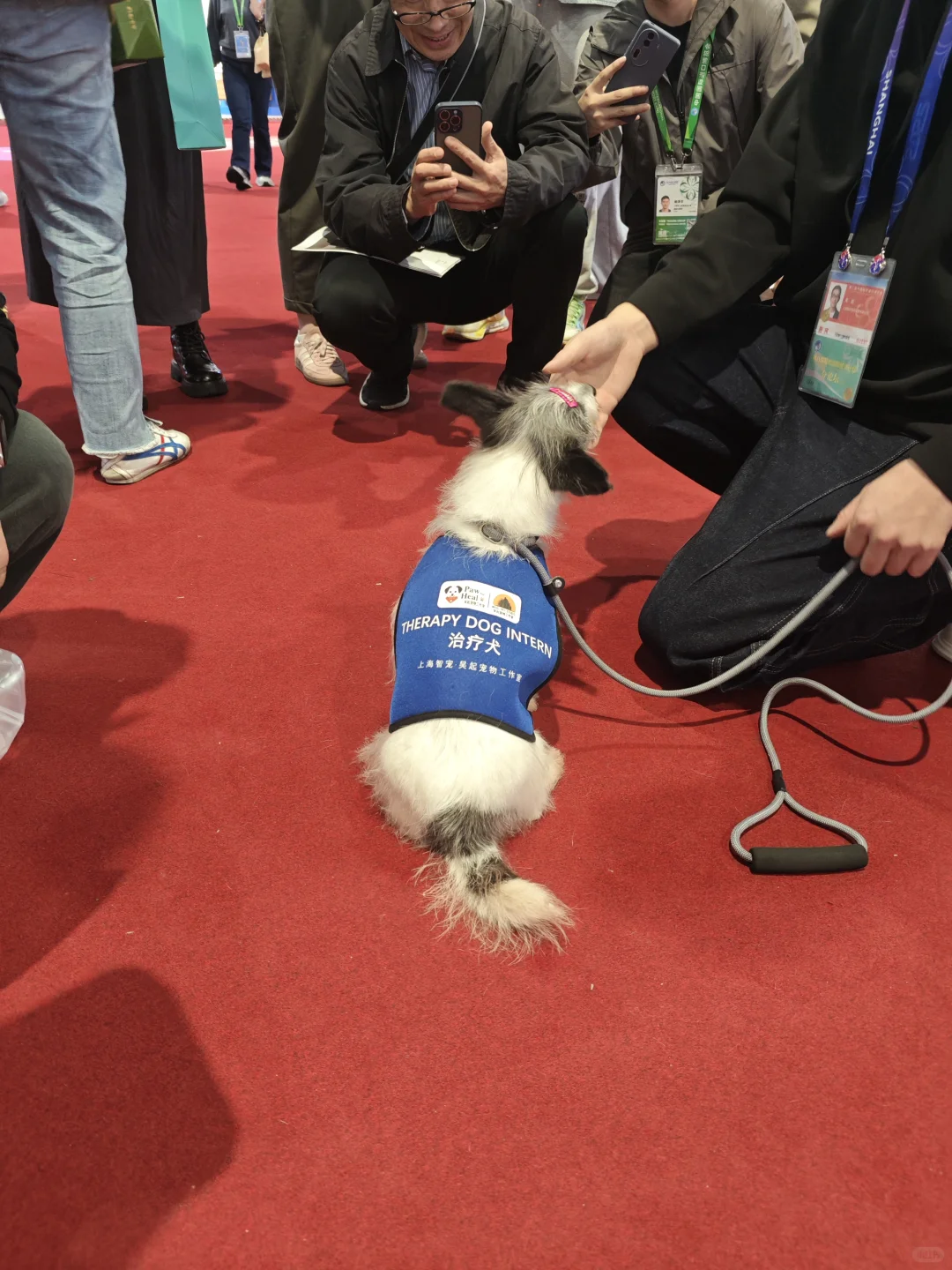 11.8进博会观展交作业啦!