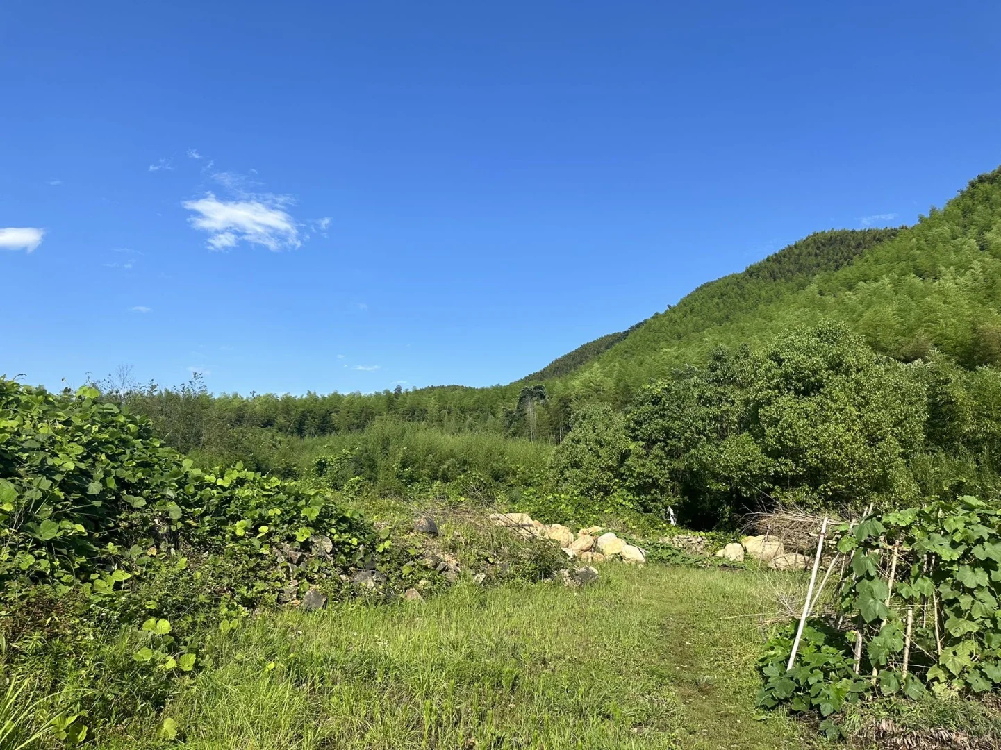 2025年11月11日309土地（钓鱼种植养殖露营