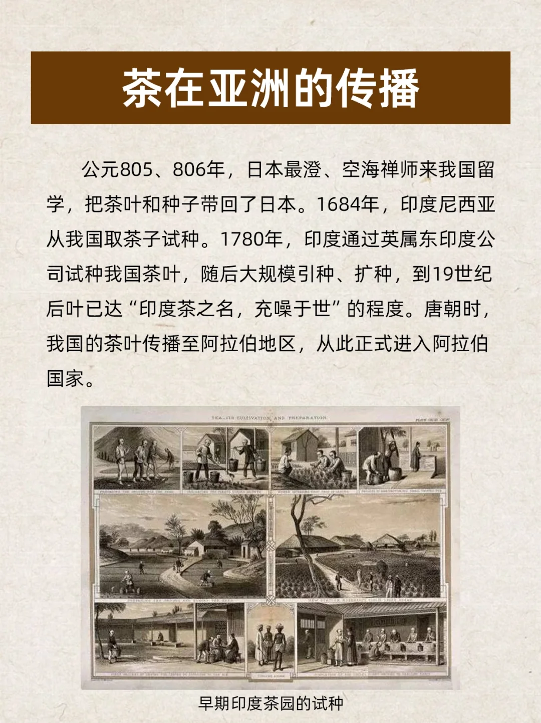 茶文化 | 中国茶叶在世界的传播