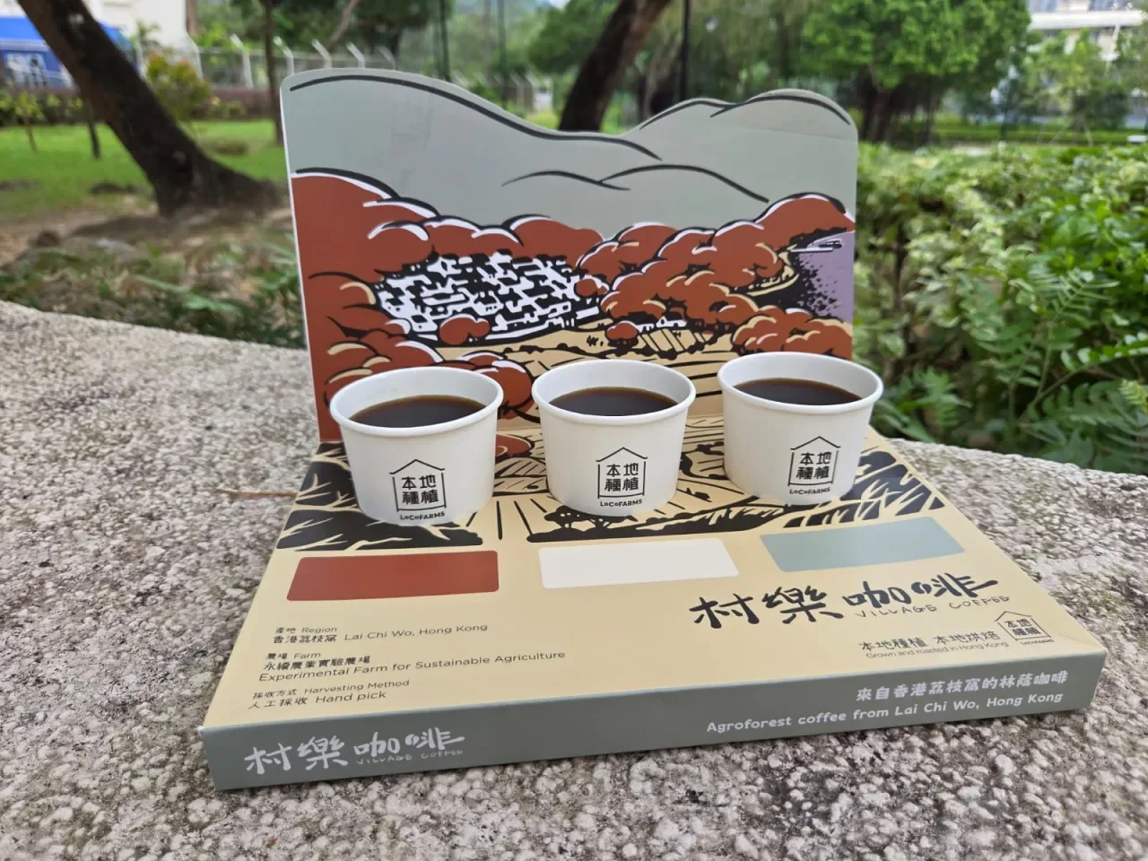 香港也有可持续种植的咖啡园☕️