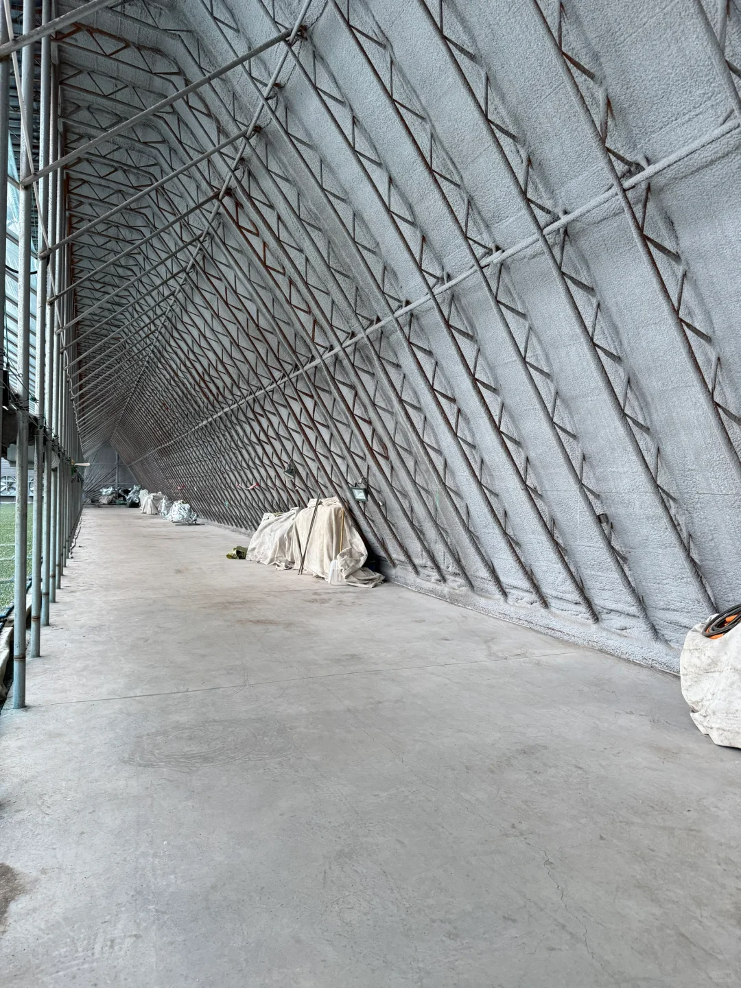 我们不是老破小，这是我家的现代化育苗基地～