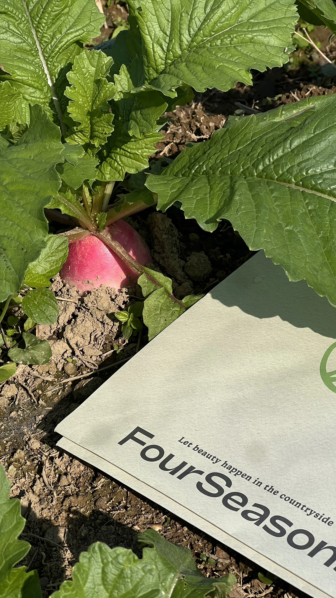 四季常春的四季农场｜冬日实况