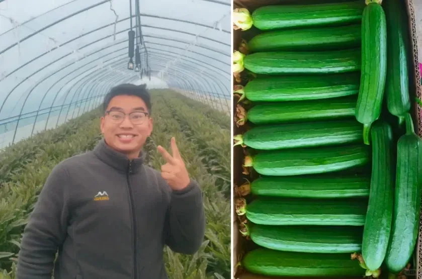 辍学种地后年入1000万