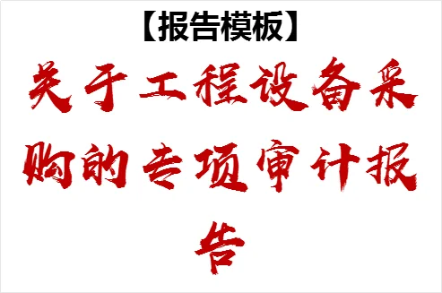 关于工程设备采购的专项审计报告