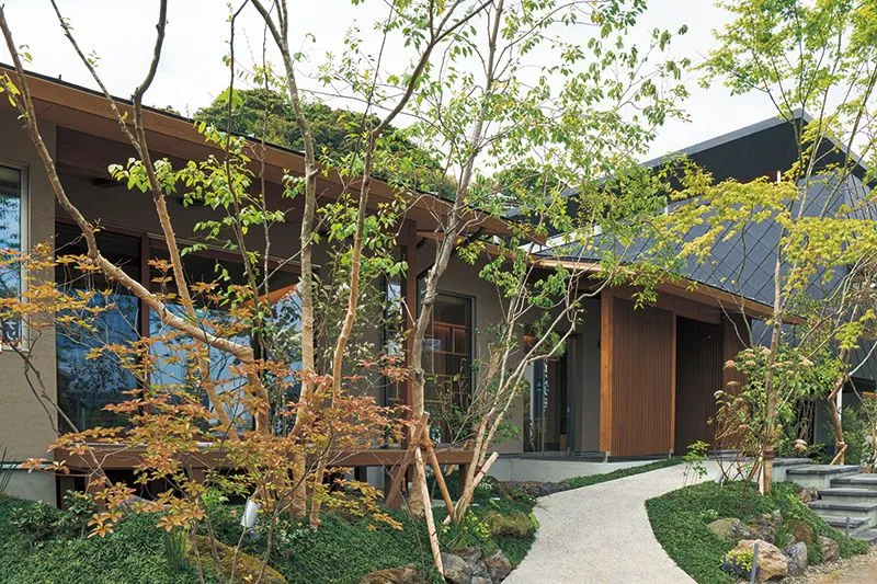 杂木庭院苗木选型纪要 | 柔美 飘逸 清雅