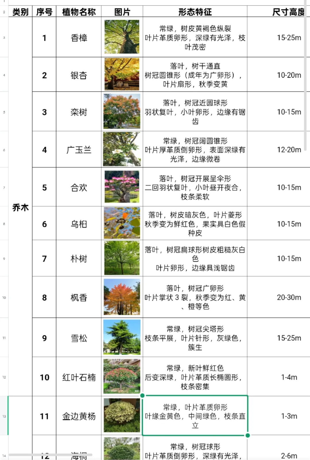 景观植物图鉴|乔木/灌木/水生/花卉分类表