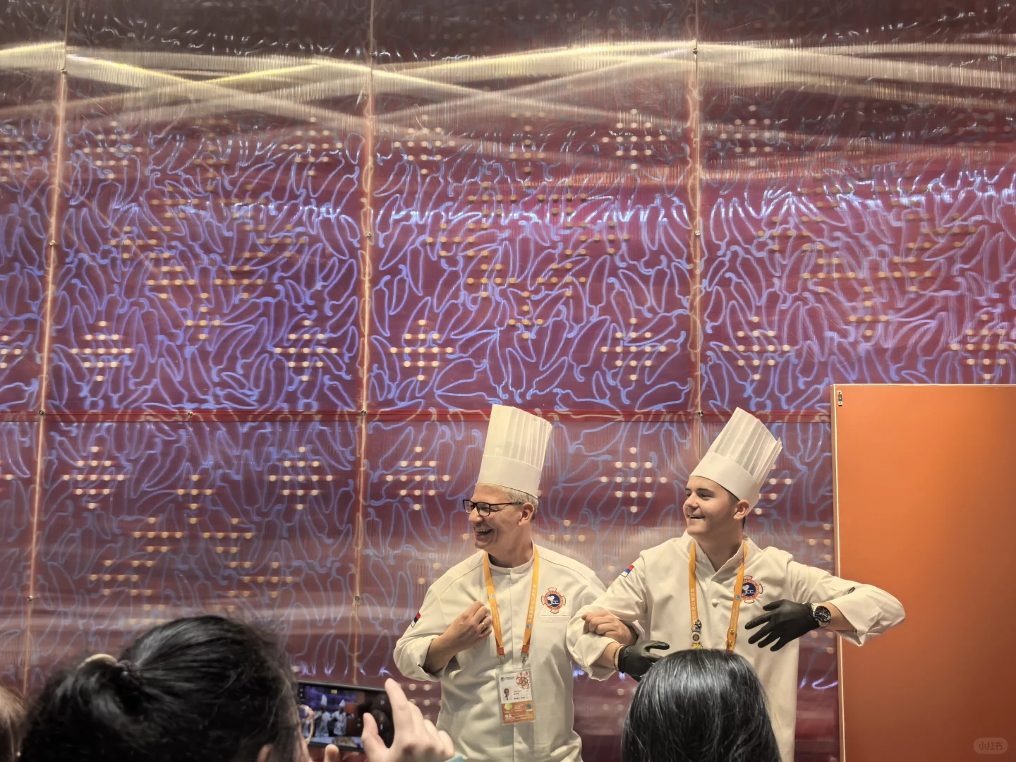 进博会老叶子的逛展攻略来了——