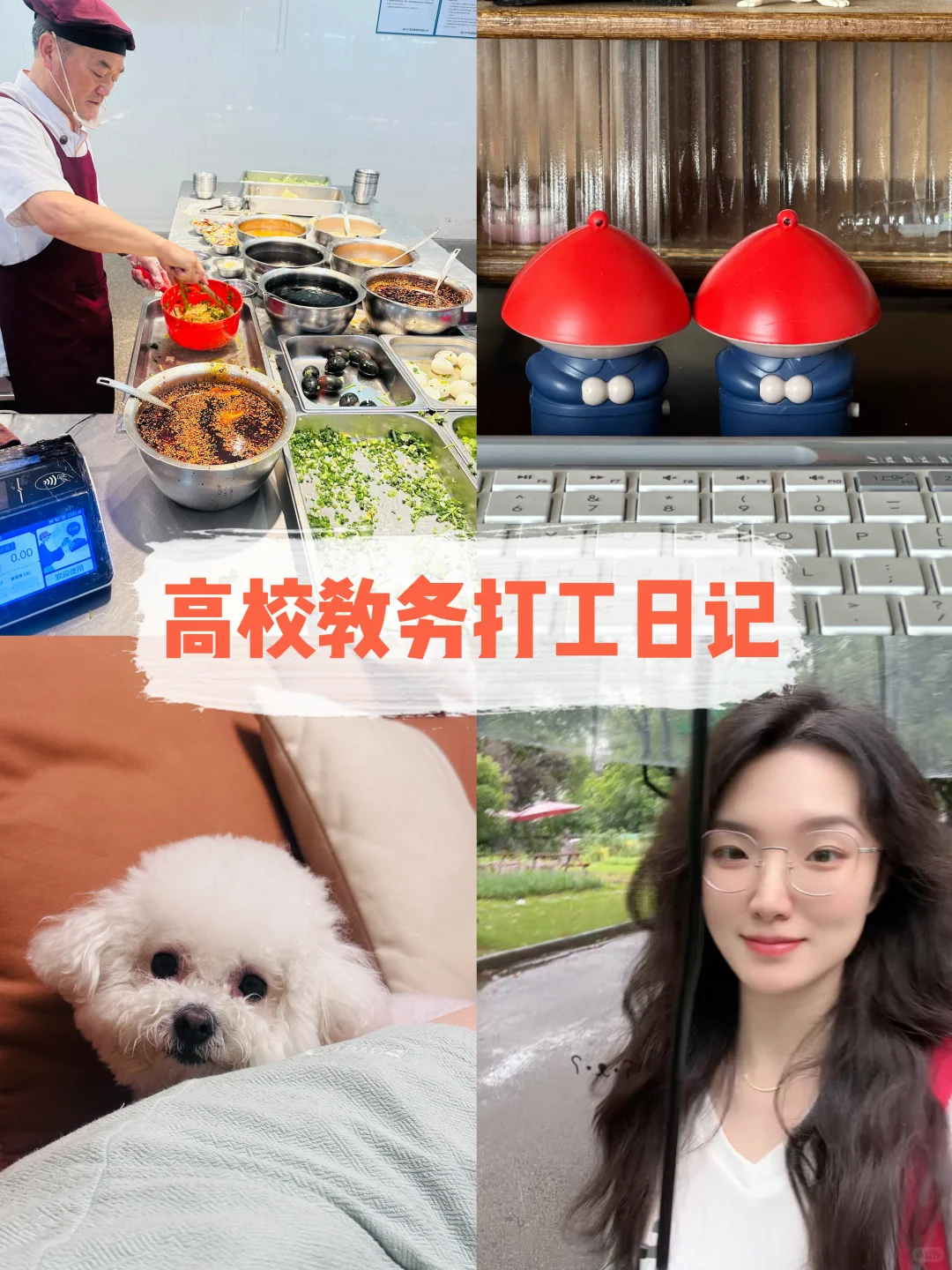 二级学院高校教务打工的这半年❗️附工作量