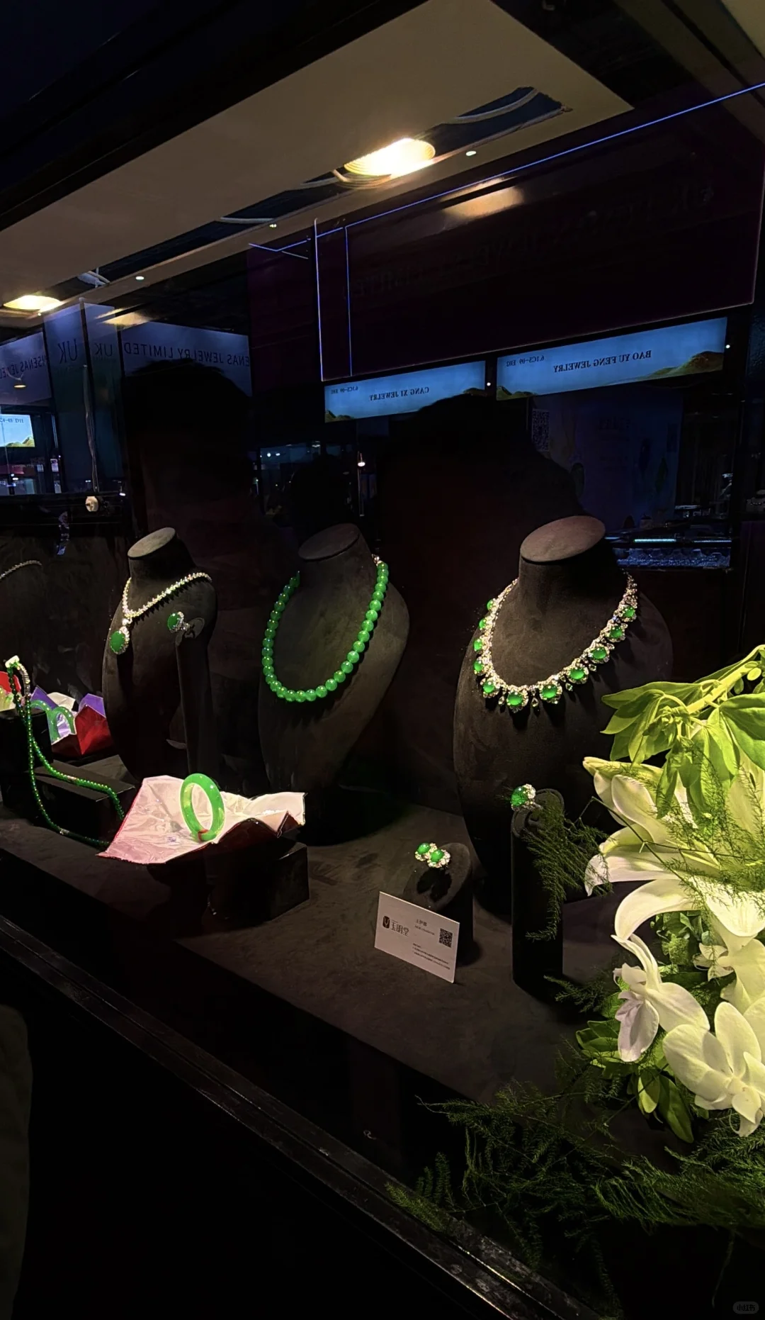 上海｜CIIE 2025 in my vision